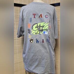 47 Brand Cactus League Gray Tee